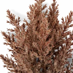 Vases^CASA DAMA J Dame-jeanne Brun