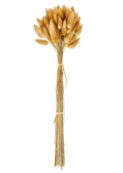 Vases^CASA DAME JEANNE Dame Jeanne Brun