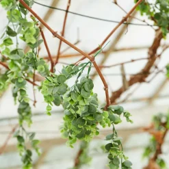 Fleurs Artificielles|Automne^CASA DANDIL Tige Orange