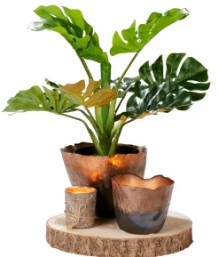 Bougies^CASA FINA Bougies Set De 12 Ivoire