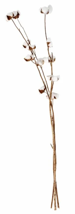 Vases^CASA MONTANA Vase Sable