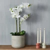 Plantes Artificielles^CASA ORCHID Orchidée En Pot Blanc