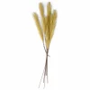 Branches Artificielles^CASA PLUME Plumes Décoratives Brun Clair