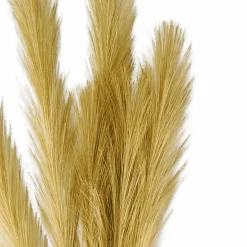 Branches Artificielles^CASA PLUME Plumes Décoratives Brun Clair