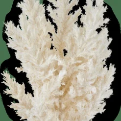 Branches Artificielles^CASA PLUME Tige Blanc Cassé