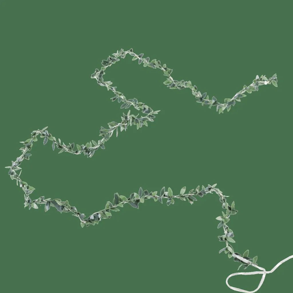 Guirlandes Lumineuses|Éclairage Extérieur^CASA RIKA Guirlande Lumineuse 20 Leds Vert