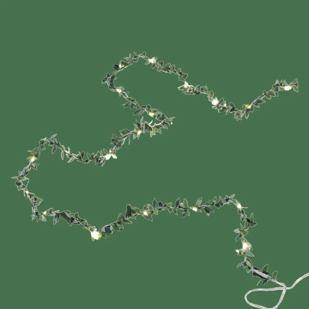 Guirlandes Lumineuses|Éclairage Extérieur^CASA RIKA Guirlande Lumineuse 20 Leds Vert