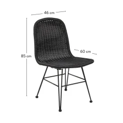 Chaises De Salle À Manger|Chaises De Jardin^CASA VIENNA Chaise De Salle à Manger Noir